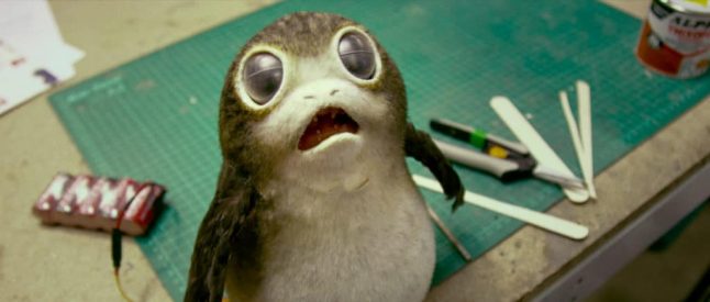 Conheça os porgs, nova espécie do universo da franquia