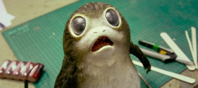 Rey é a única pessoa da galáxia que não liga para os Porgs