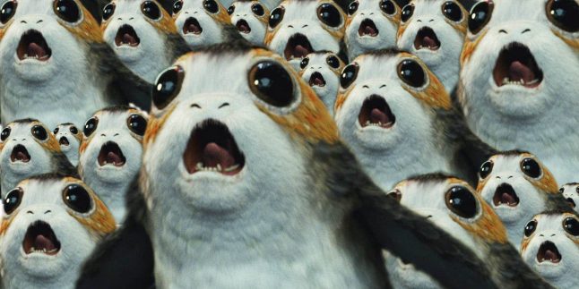 Biólogo fala sobre o sabor dos Porgs