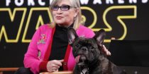 Cachorro de Carrie Fisher assistiu a Os Últimos Jedi e reagiu a todas as cenas com Leia